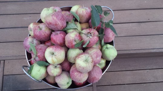 2017-03-14 20.01.57.jpg